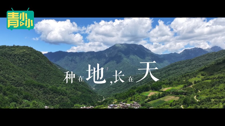 西南财经大学.jpg