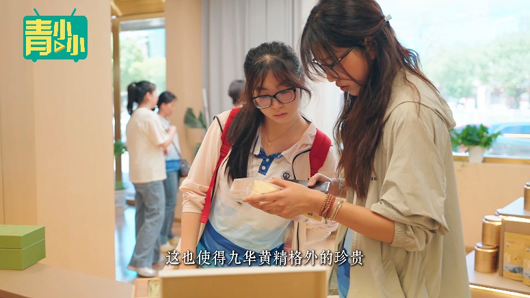 黄精.jpg