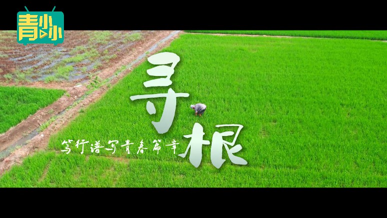 山东传媒职业学院.jpg